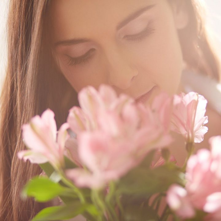 2477eeecf49f83826d0950a658c8f541